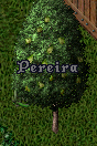 Pereira.png